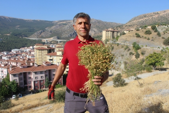 Buketini 100 TLden satyor