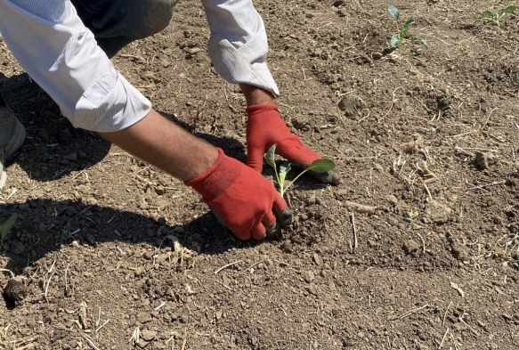 3-4 metre su kaldı, üretim yapılamayacak hale geldi