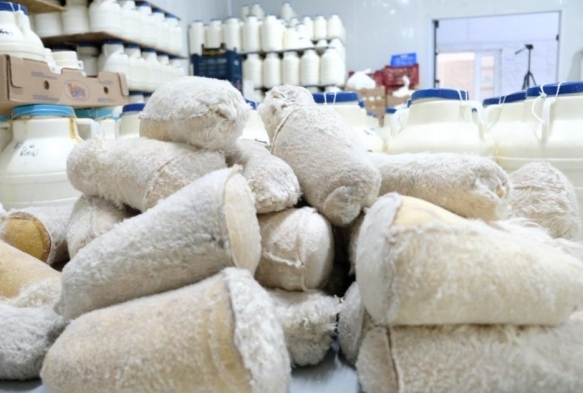 3 bin rakmdan gelen lezzet: Erzincan tulum peyniri