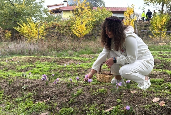 'Dnyann en pahal baharat'
