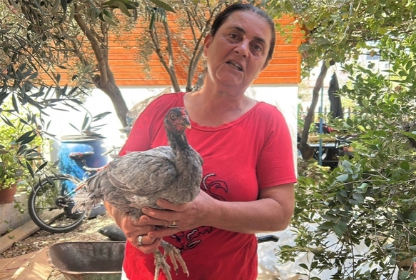 10 yldr gz gibi bakyor