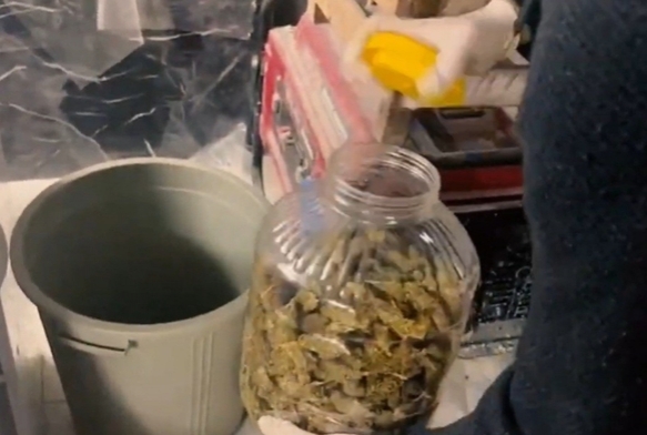 rgt kertildi: 31 kii yakaland