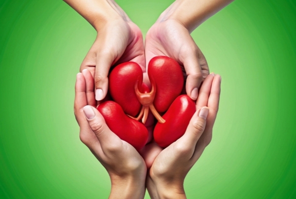 35 bin kii organ ba bekliyor