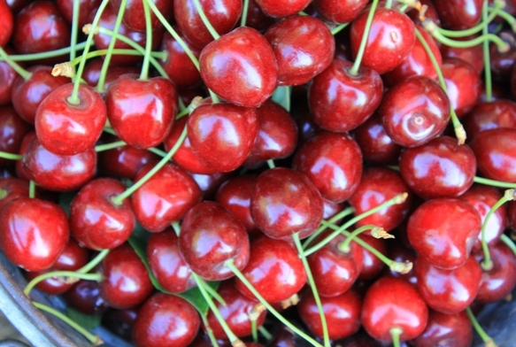 Dondurulmu kirazda da dnya lideriyiz