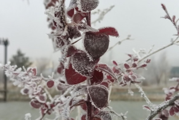 Gle eksi 13 derece, aalar kra tuttu