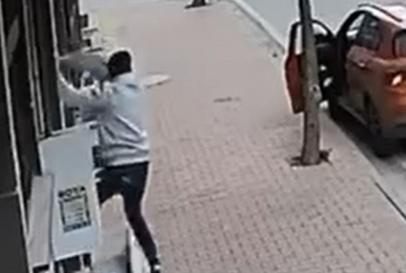 Balkona trmanp cins kediyi ald