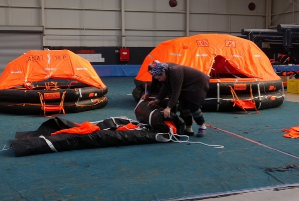 Trabzon'dan dnyaya can sal ihracat