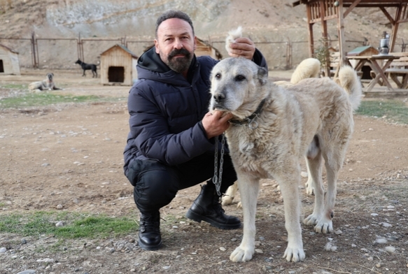 Kangallar k modunu at