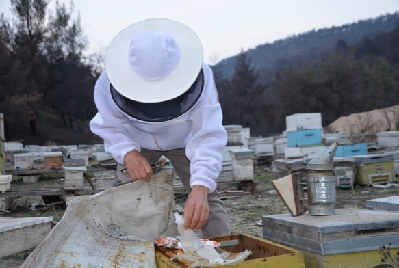 Ana ar retiminde byk baar