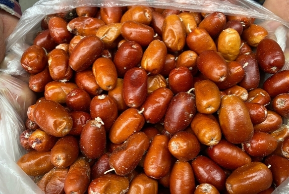 Alaehir'de ide aalarnn says azalyor